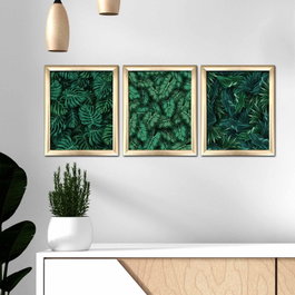 Wallity Cuadro Decorativo Enmarcado en MDF (3 Piezas) Multicolor 3ACT-006
